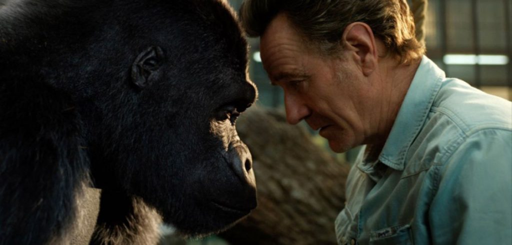 Fevm 1180 600 Ivan Egyetlen 1