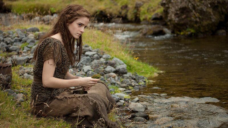 noah still